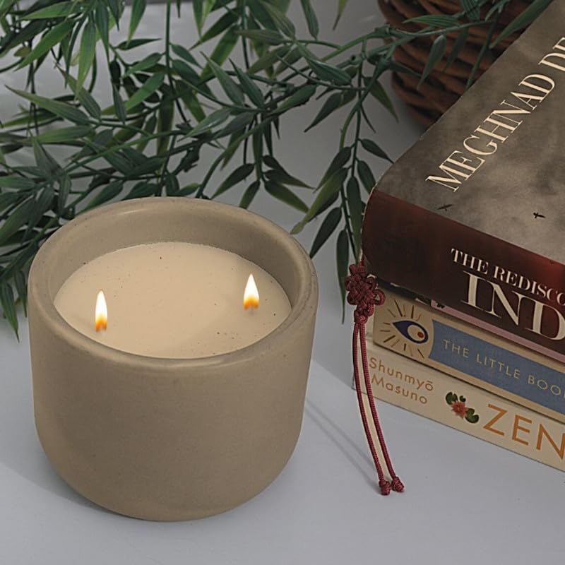 Doro Premium Scented Candles to Relax and rejuvenate Your Soul - Hearth & Birch (Soy, Double Wick, 225 GMS, Burn Time 25-30 hrs)